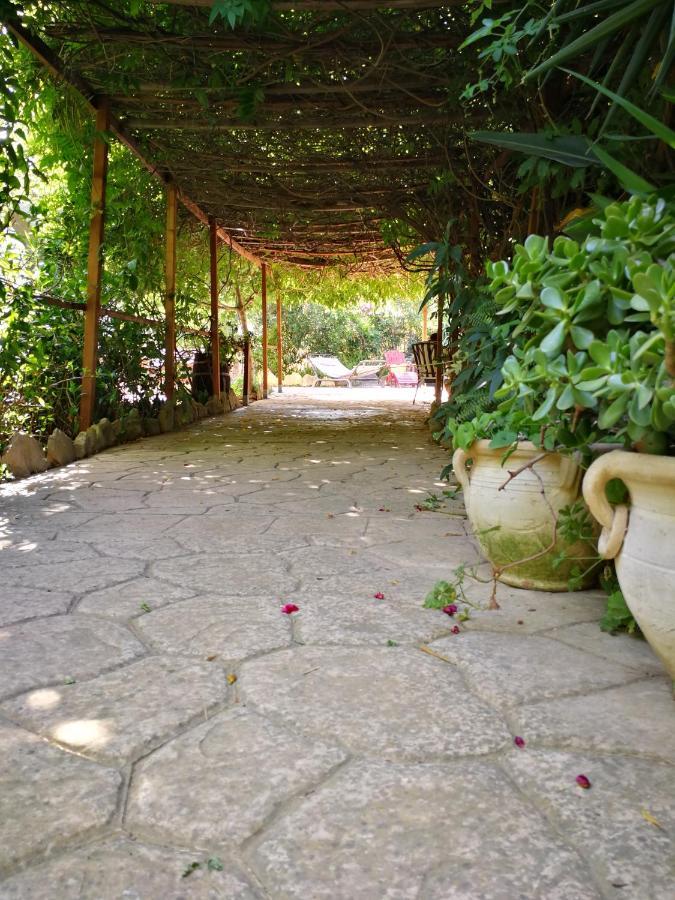 Villa Murgia Solanas  Eksteriør billede