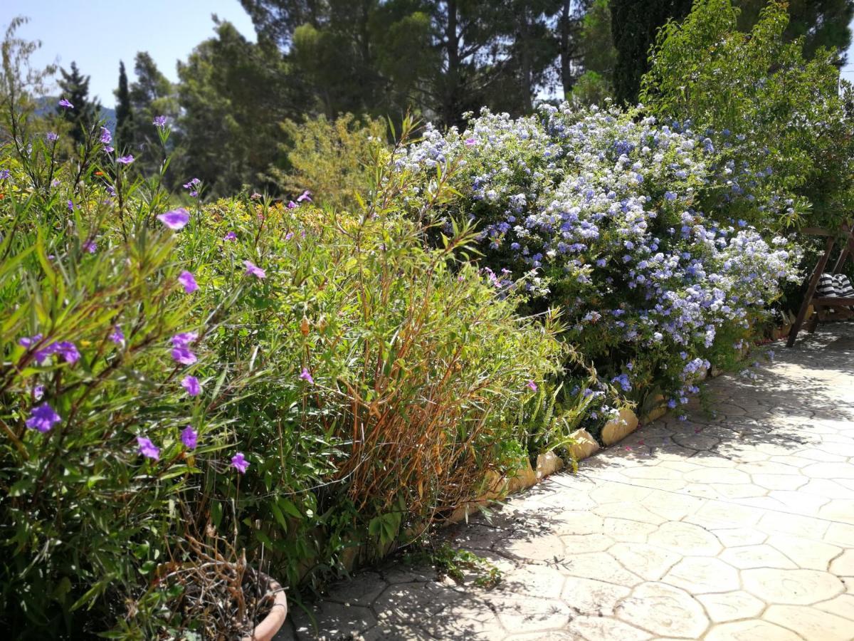 Villa Murgia Solanas  Eksteriør billede